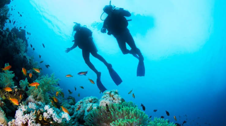 Curso De Buceo Principiantes (PADI)
